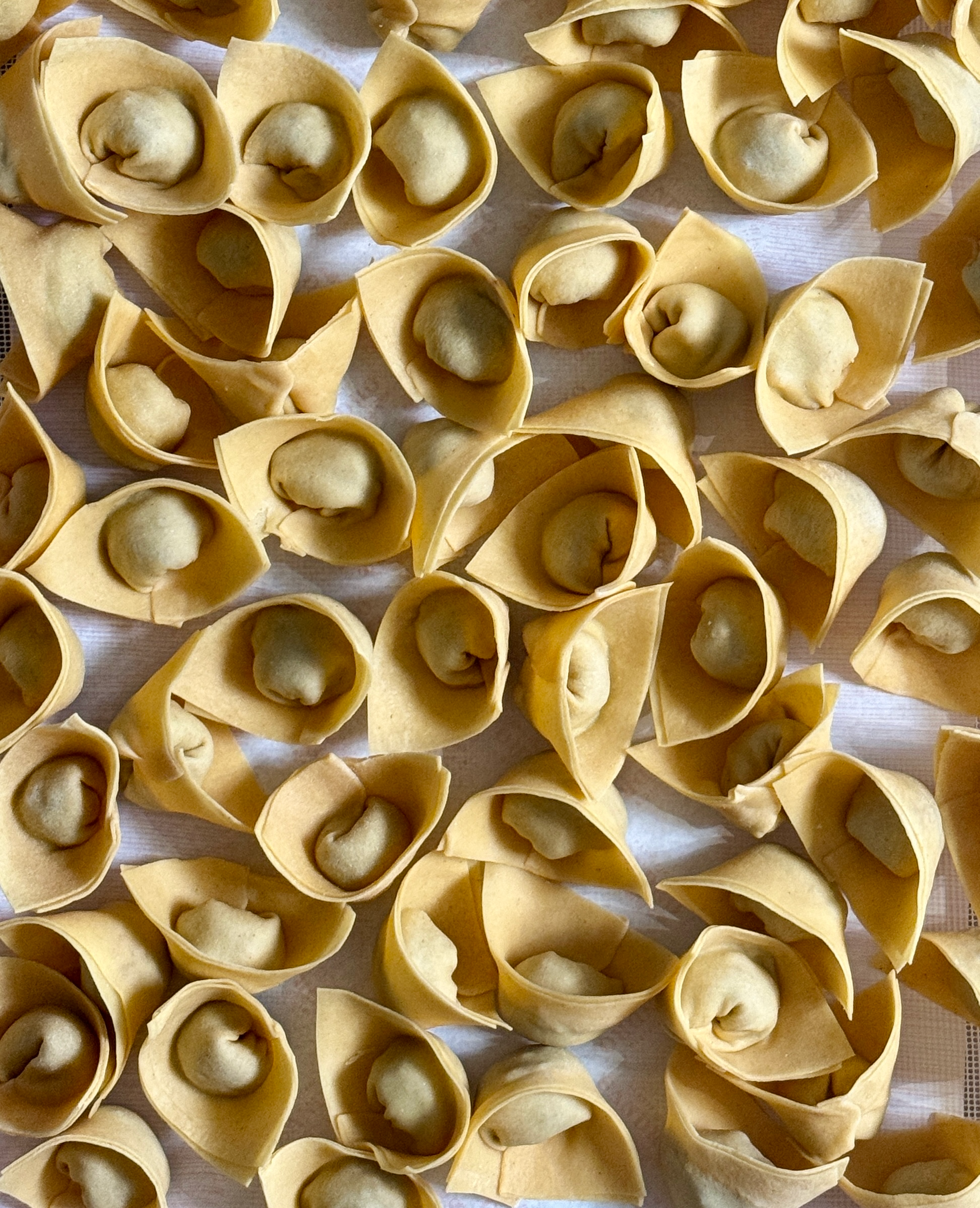 Handmade Cappelletti with Pork, Pancetta and Sage